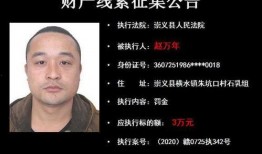 崇义爆料行凶案件最新,悲剧背后的人性拷问与法治反思