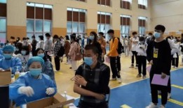 枣庄导游爆料最新消息,探寻古枣庄的历史秘密与未来展望